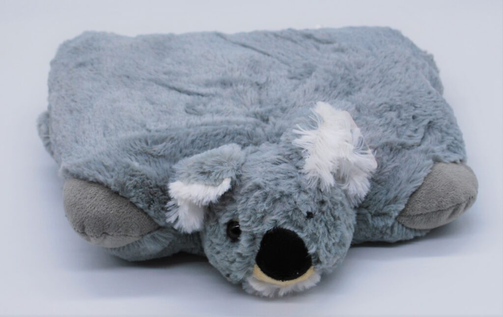 https://www.onestopsensoryshop.com.au/wp-content/uploads/2020/07/Koala-Cushion-1024x646.jpg