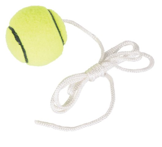 Spare tennis ball